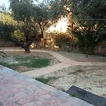 Ionnisos Traditional *