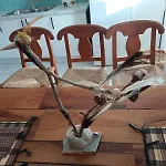 Ionnisos Traditional *